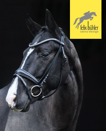 Felix B�hler Bridles