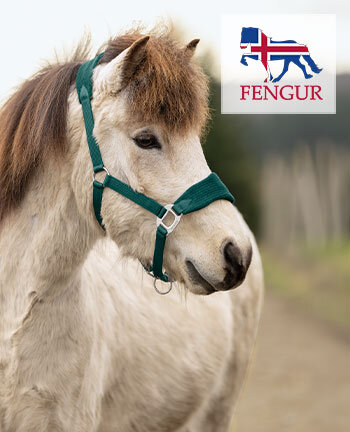 FENGUR Icelandic Horse Equipment