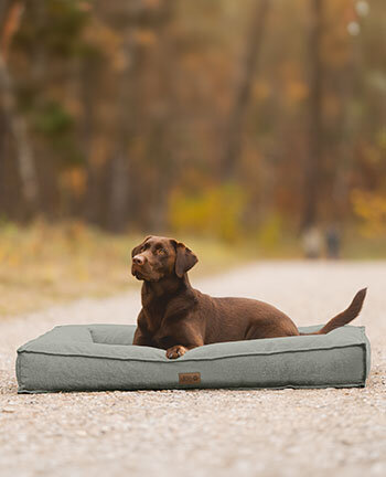 Dog Beds & Cushions