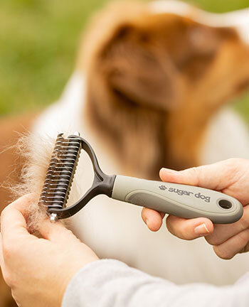Dog Care