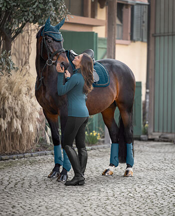 Collections for Horses