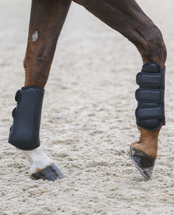 Leg & Hoof Protection