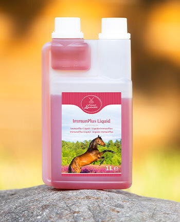 Horse Feed & Supplements