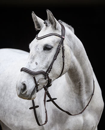 Bridles & Nosebands