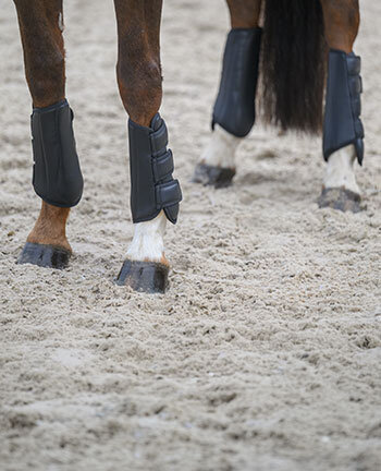 Leg & Hoof Protection