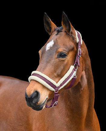Headcollars & Lead Ropes