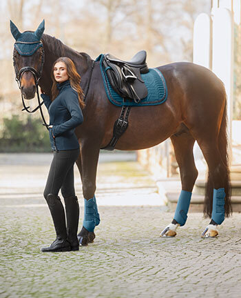 Collections for Horses