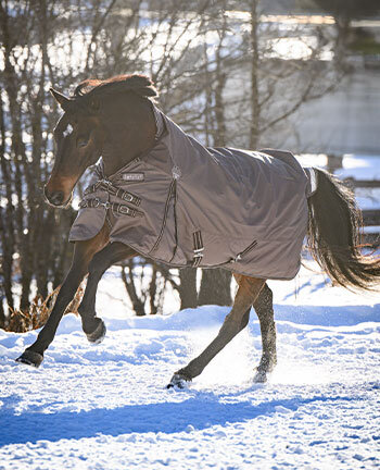 Horse Rugs