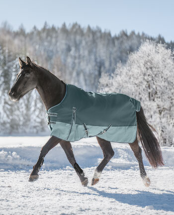 Medium Turnout Rugs, 100 g Filling