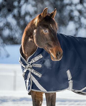 Medium Turnout Rugs, 200 g Filling