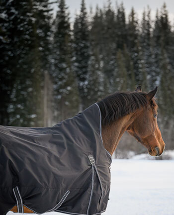 Lightweight Turnout Rugs, 0 g Filling