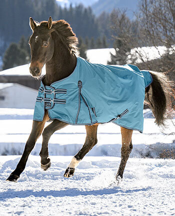 Light- & Heavyweight Turnout Rugs