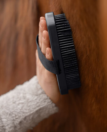 Horse Care