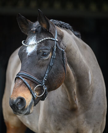 Crank Flash Bridles & Double Bridles