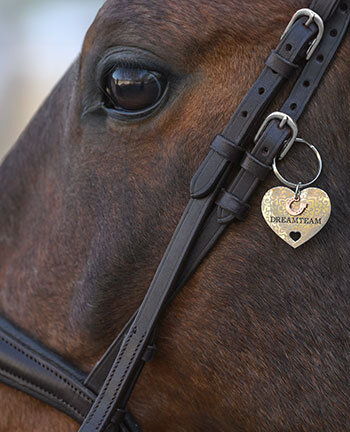 Bridle Accessories