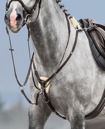 Breastplates & Martingales