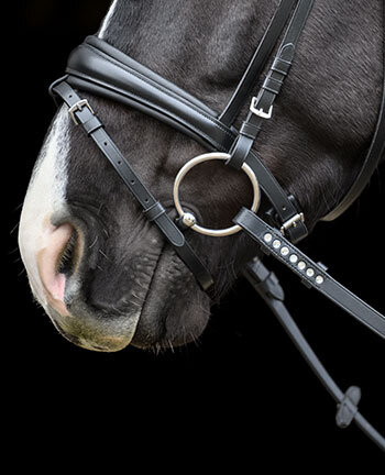 Reins