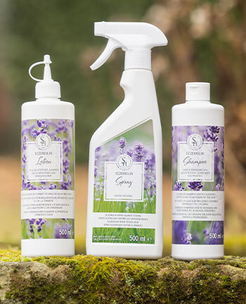 Sweet Itch Care & Feed