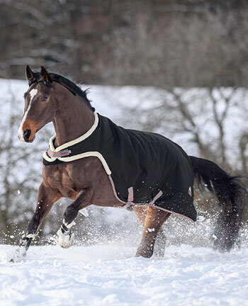 Therapy Items for Horses