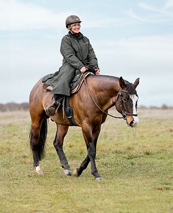 Horse Trekking
