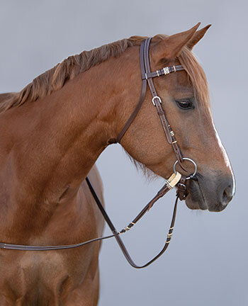 Western Headstalls & Accessories
