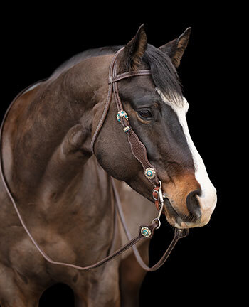 Headstalls with Knotted Browbands