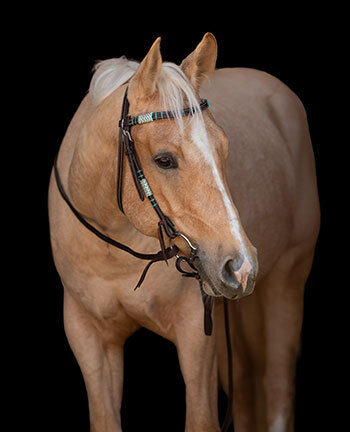 Headstalls with Straight Browbands