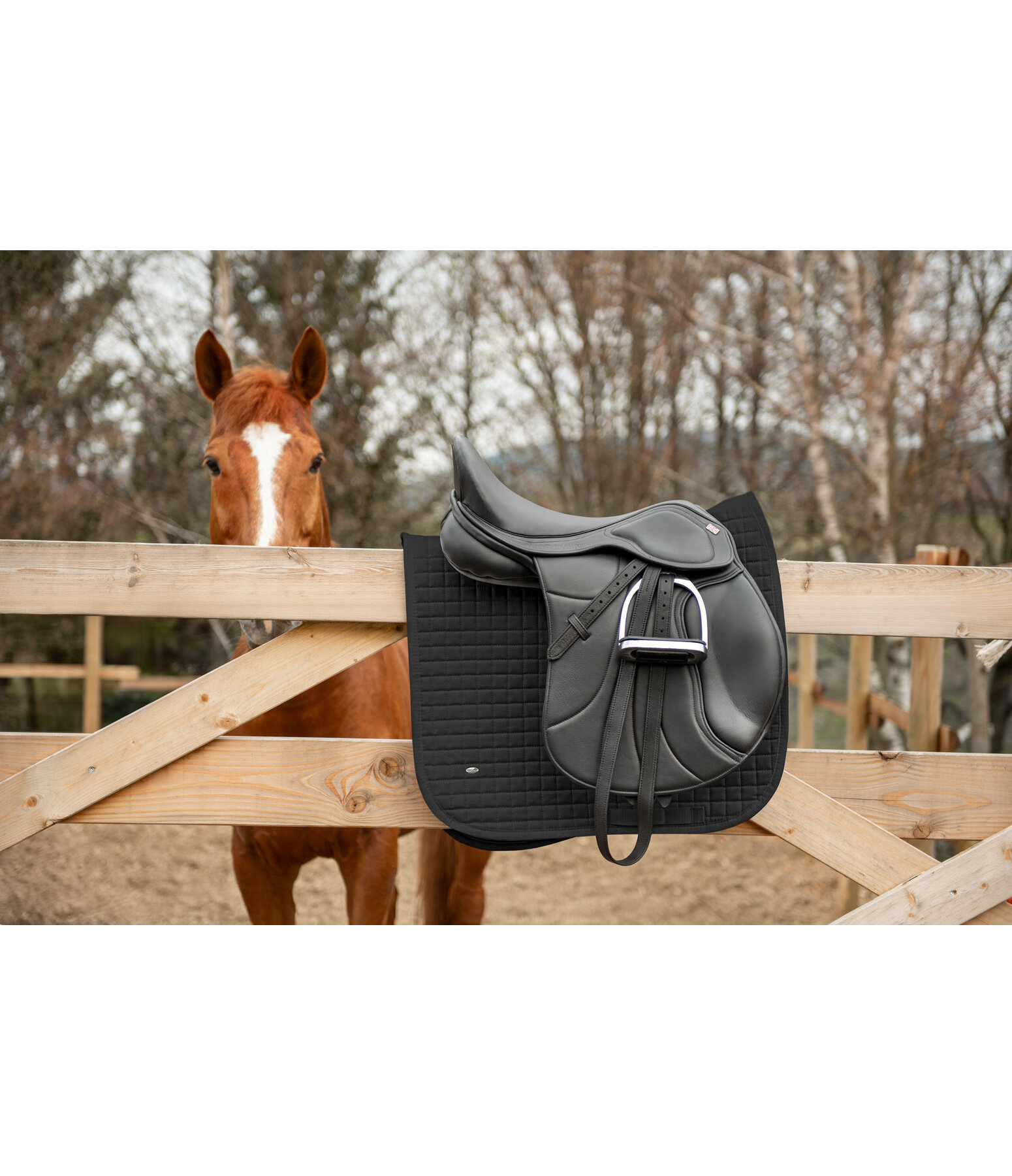 General Purpose Saddle Soft Seat