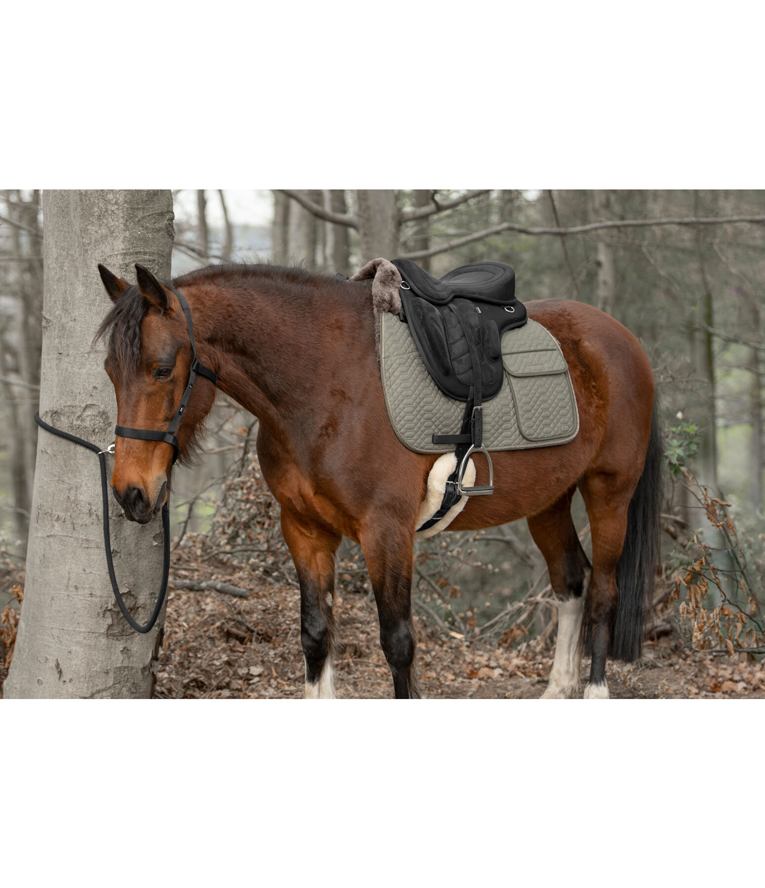 2in1 Horse Trekking Rope Pinewood