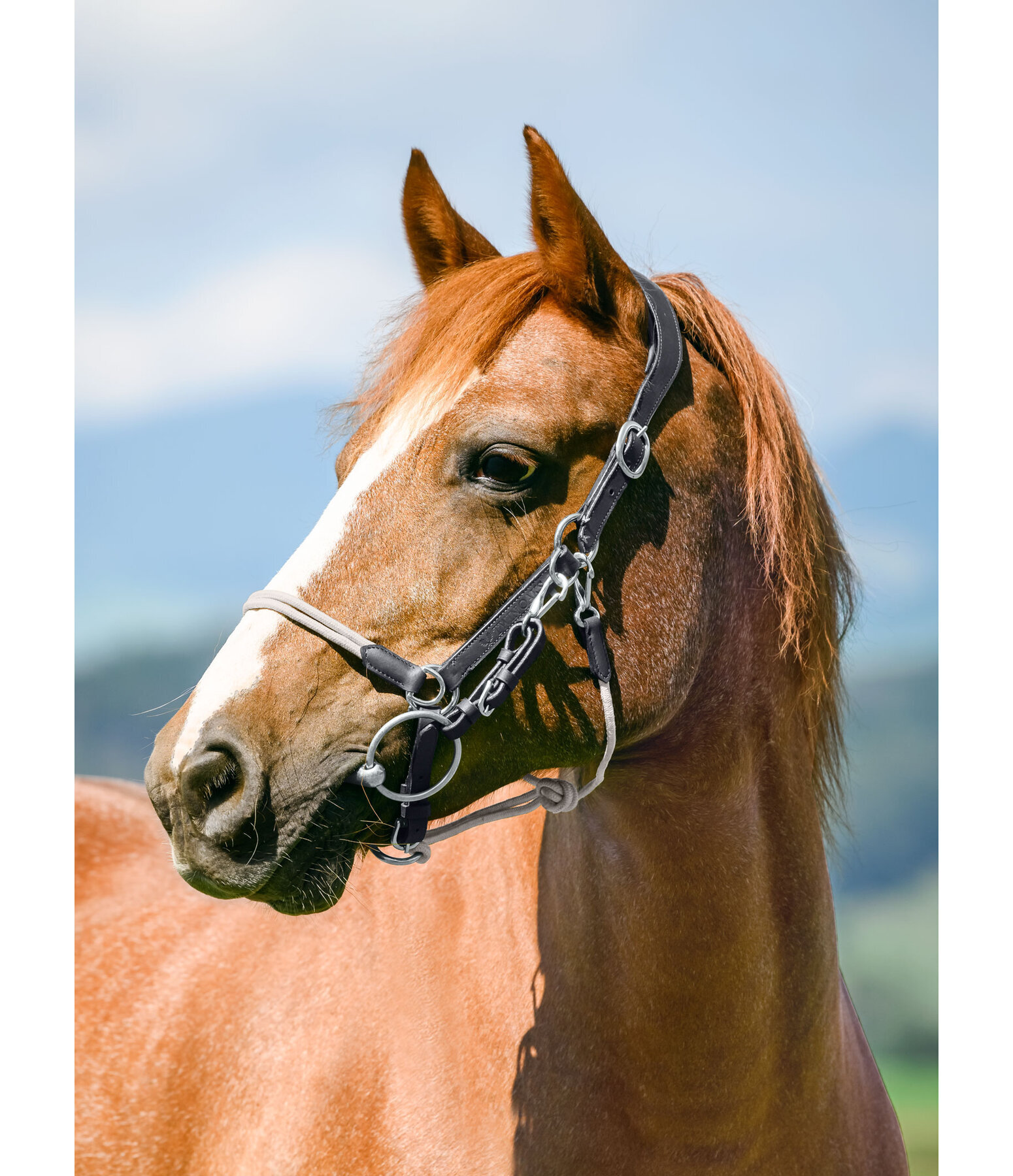 3-in-1 Trekking Bridle Takoda