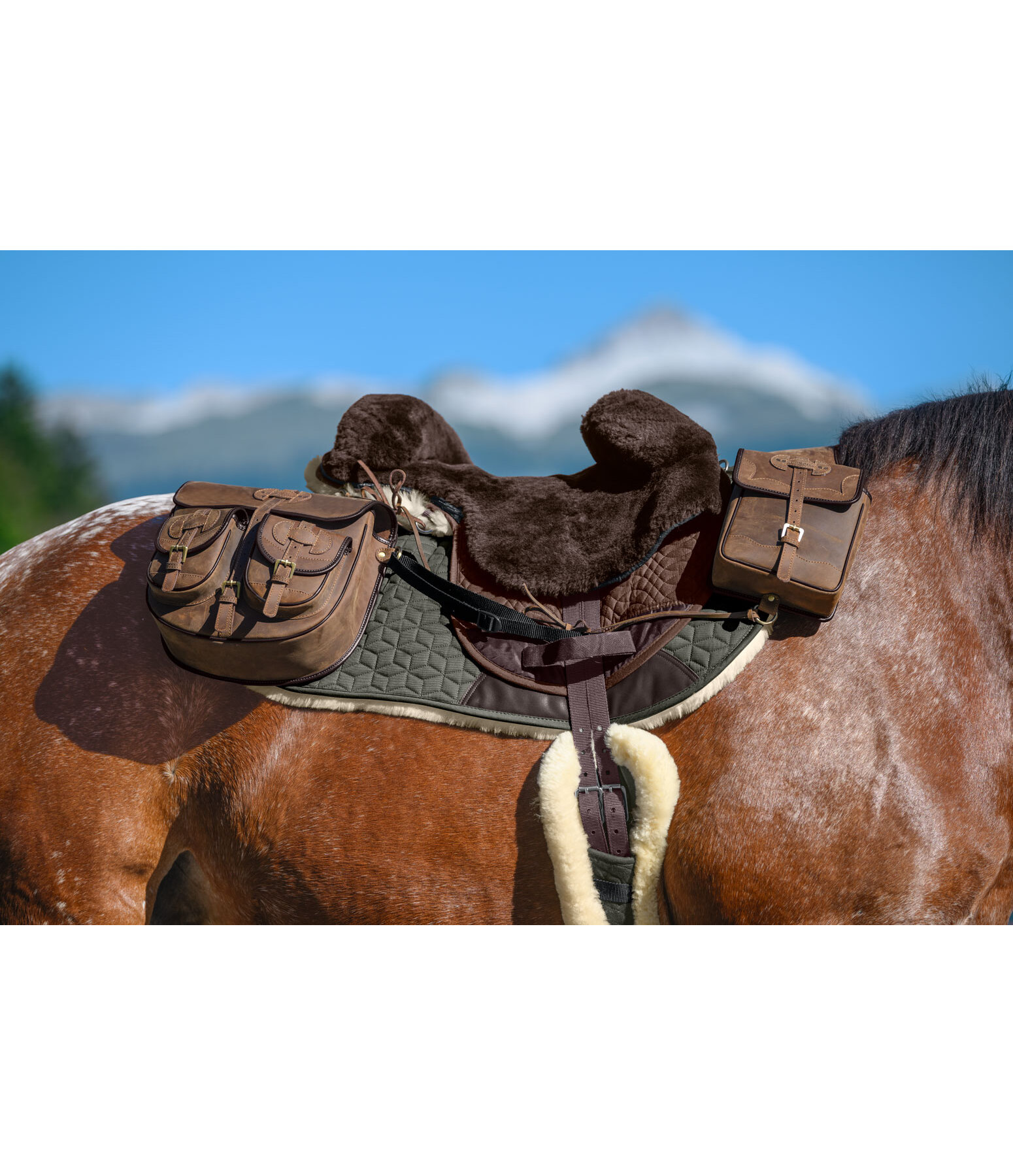 Sheepskin Saddle Pad Bernina