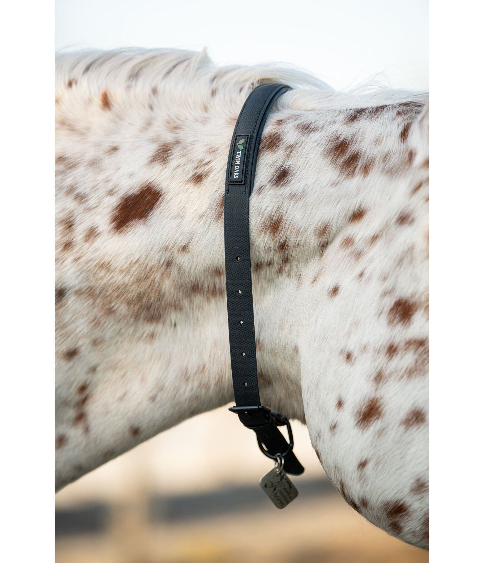 Horse Neck Strap Loki