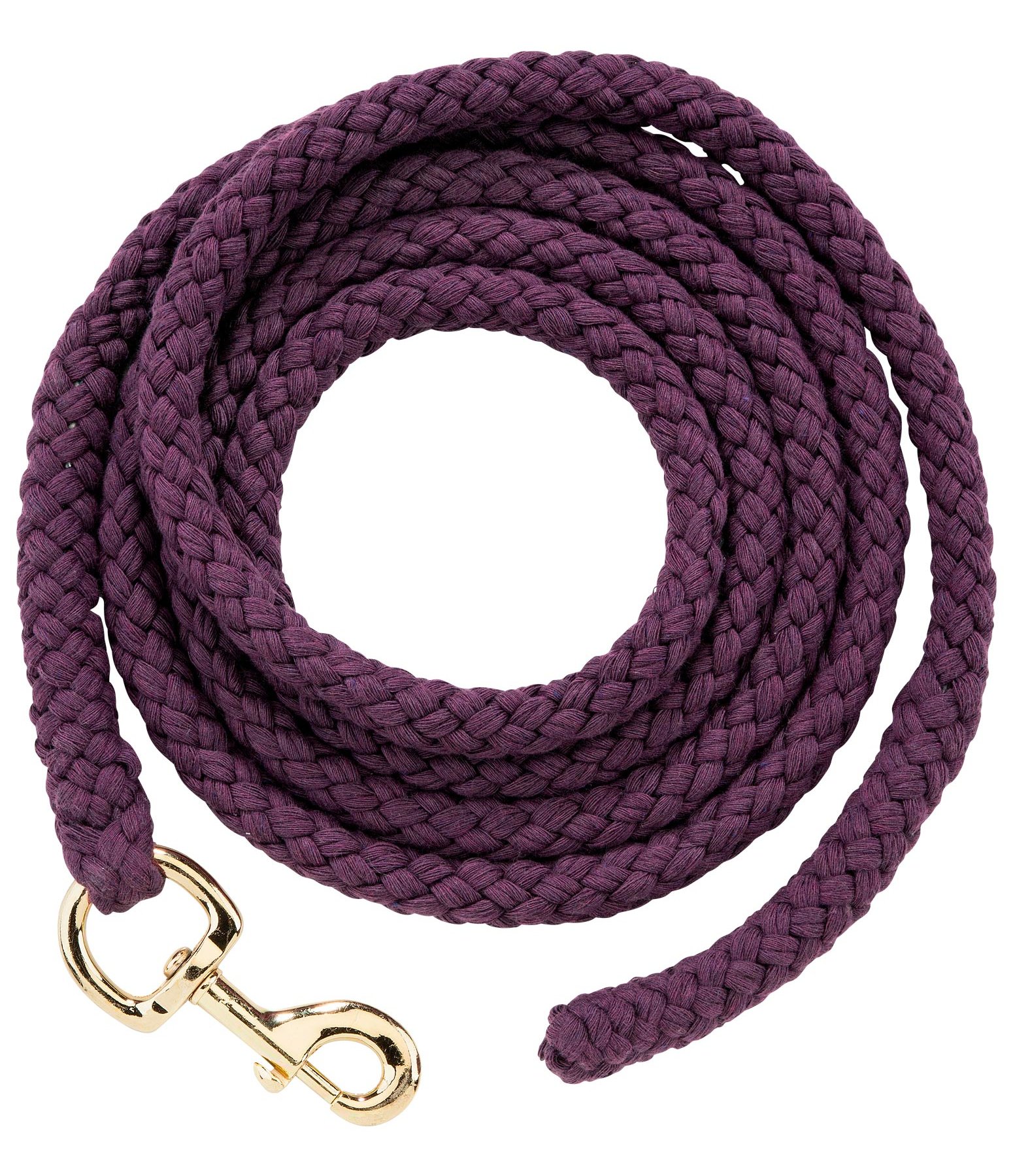 Lead Rope Horsemanship Kramer Equestrian