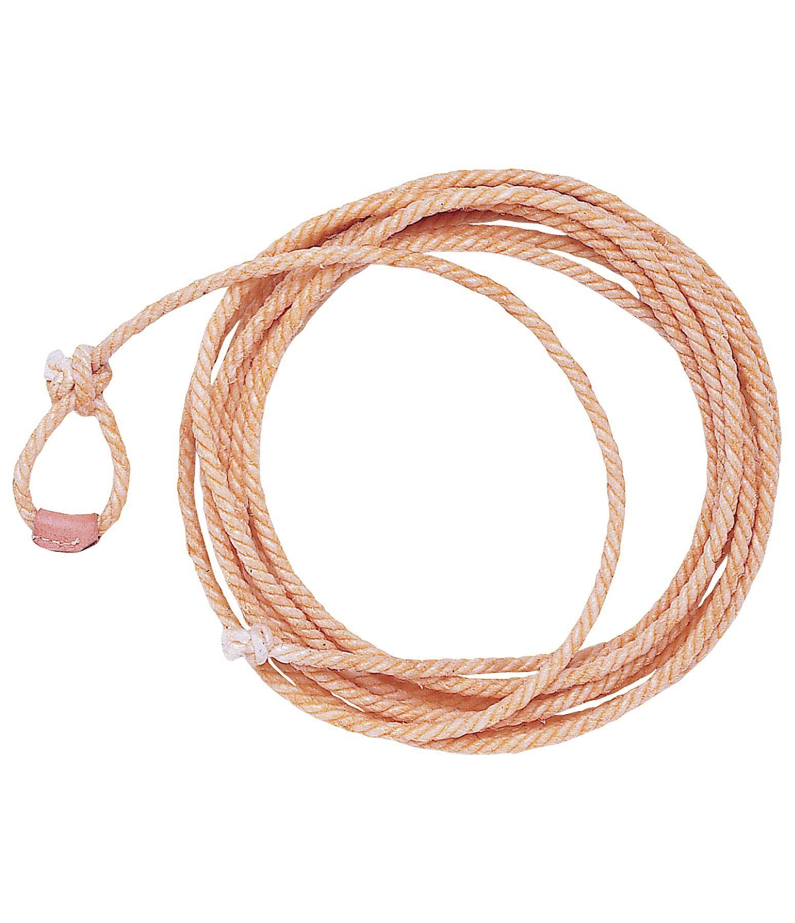 ranch lasso horse groundwork kramer equestrian ranch lasso horse groundwork kramer equestrian
