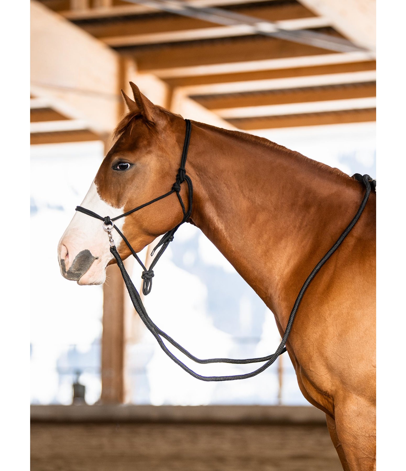 Rope Halter with Reins Ropehalters Kramer Equestrian