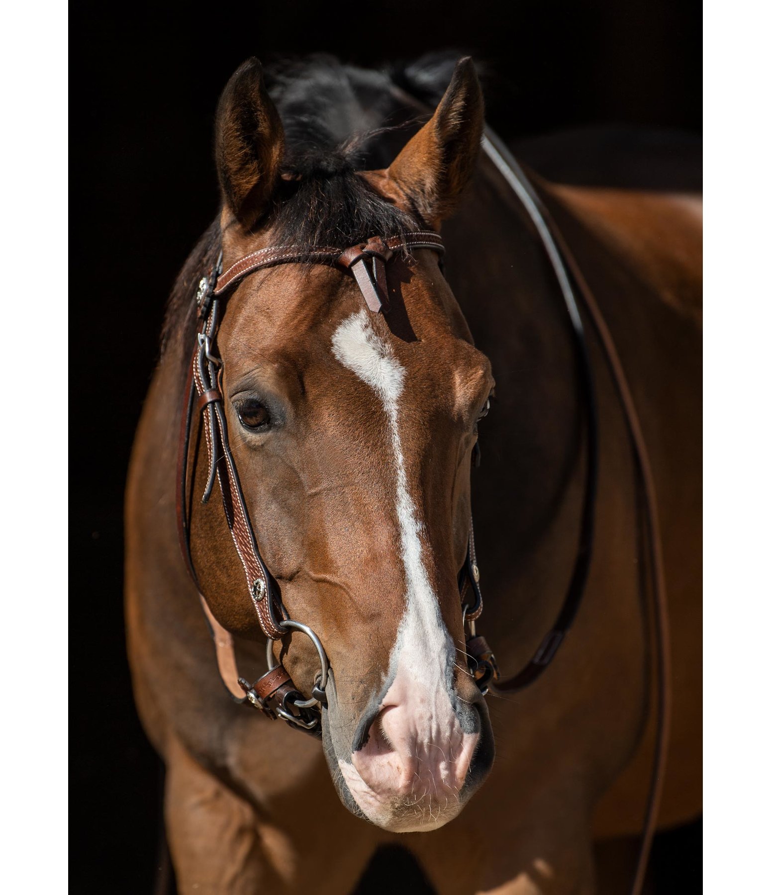Western Bridle with Reins Headstalls with Knotted Browbands Kramer