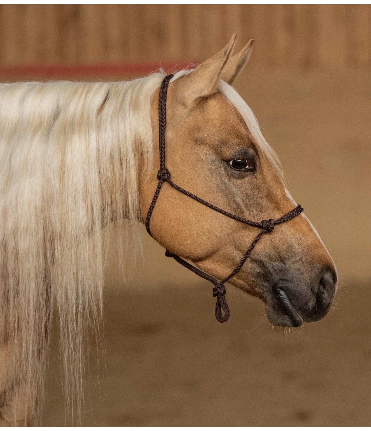 Quality Rope Halter Western Horse Headcollars & Lead Ropes Kramer