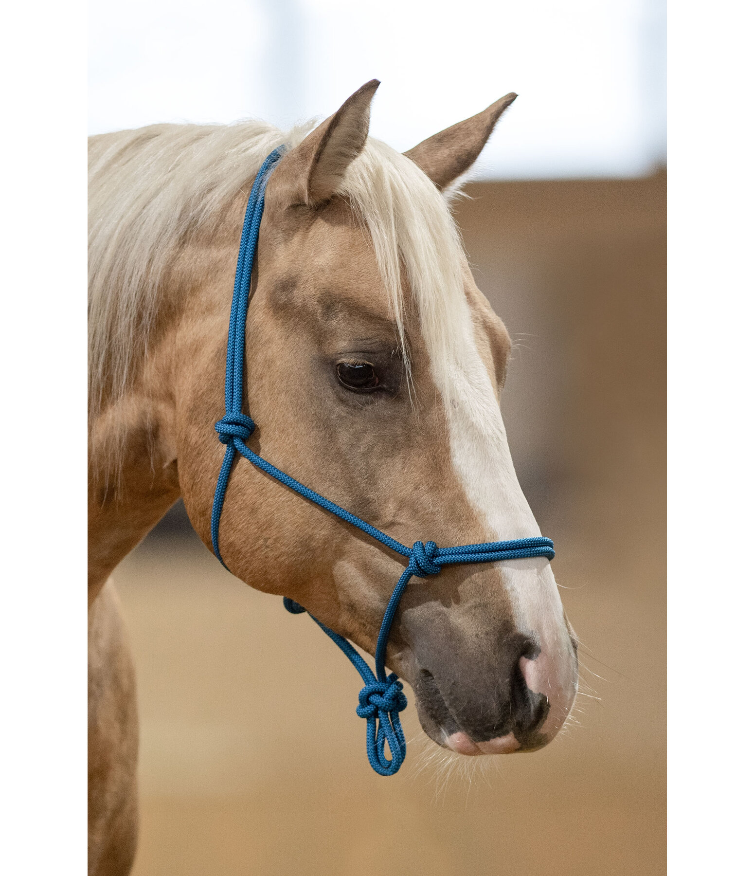 Quality Rope Halter