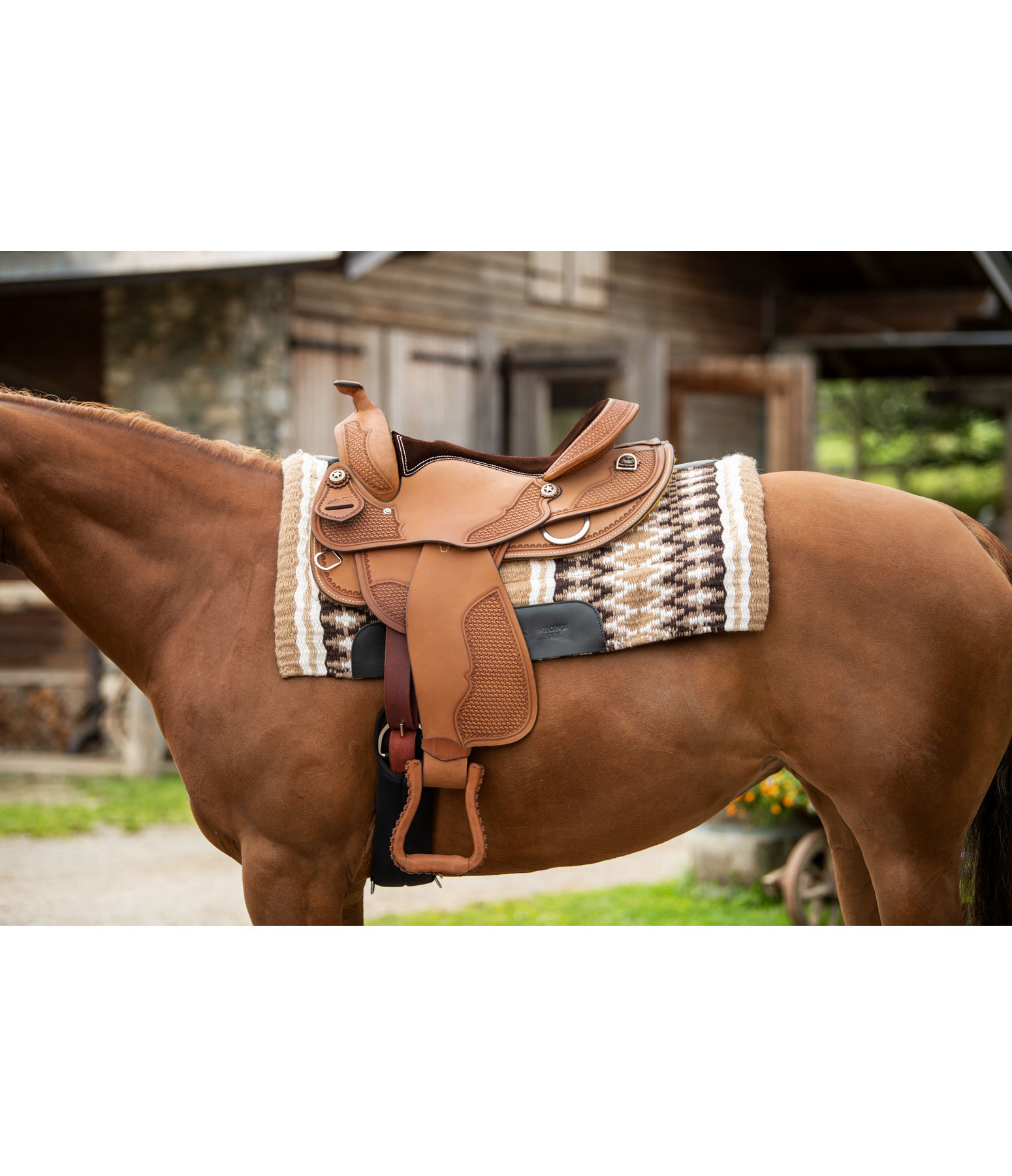 Westernsattel Für Breite Pferde Mit Kurzem Rücken Western Saddle Gold Line Comfort - Kramer Equestrian