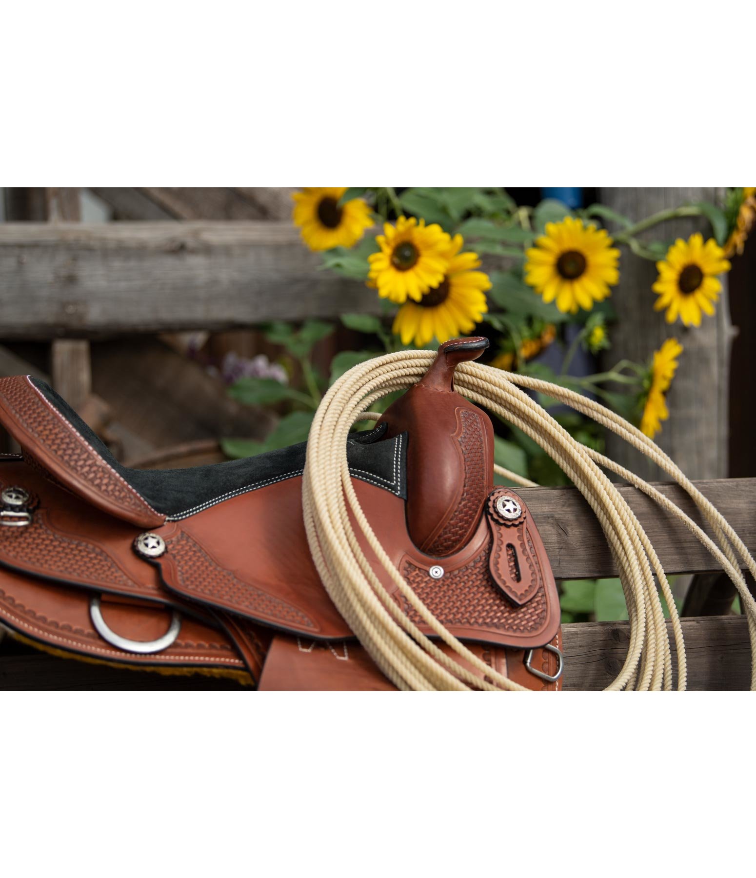 Western Saddle Gold Line Comfort