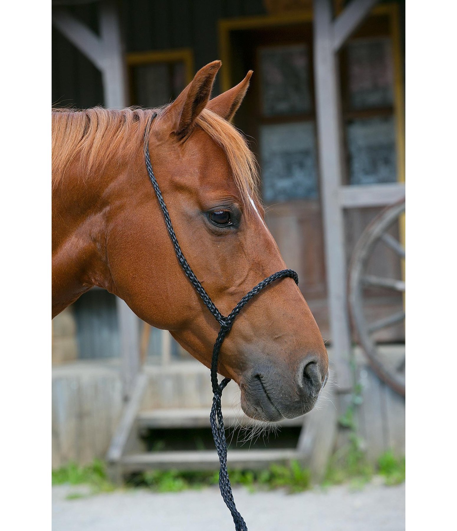 Rope Bitless Bridle Bitless & AllWeather Bridles Kramer Equestrian