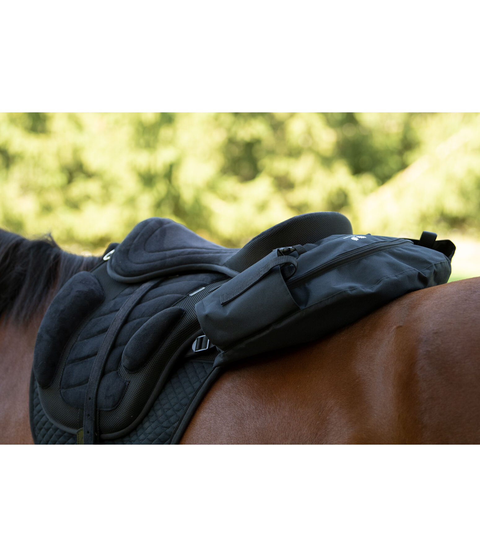   Cantle Saddle Bag Explorer 