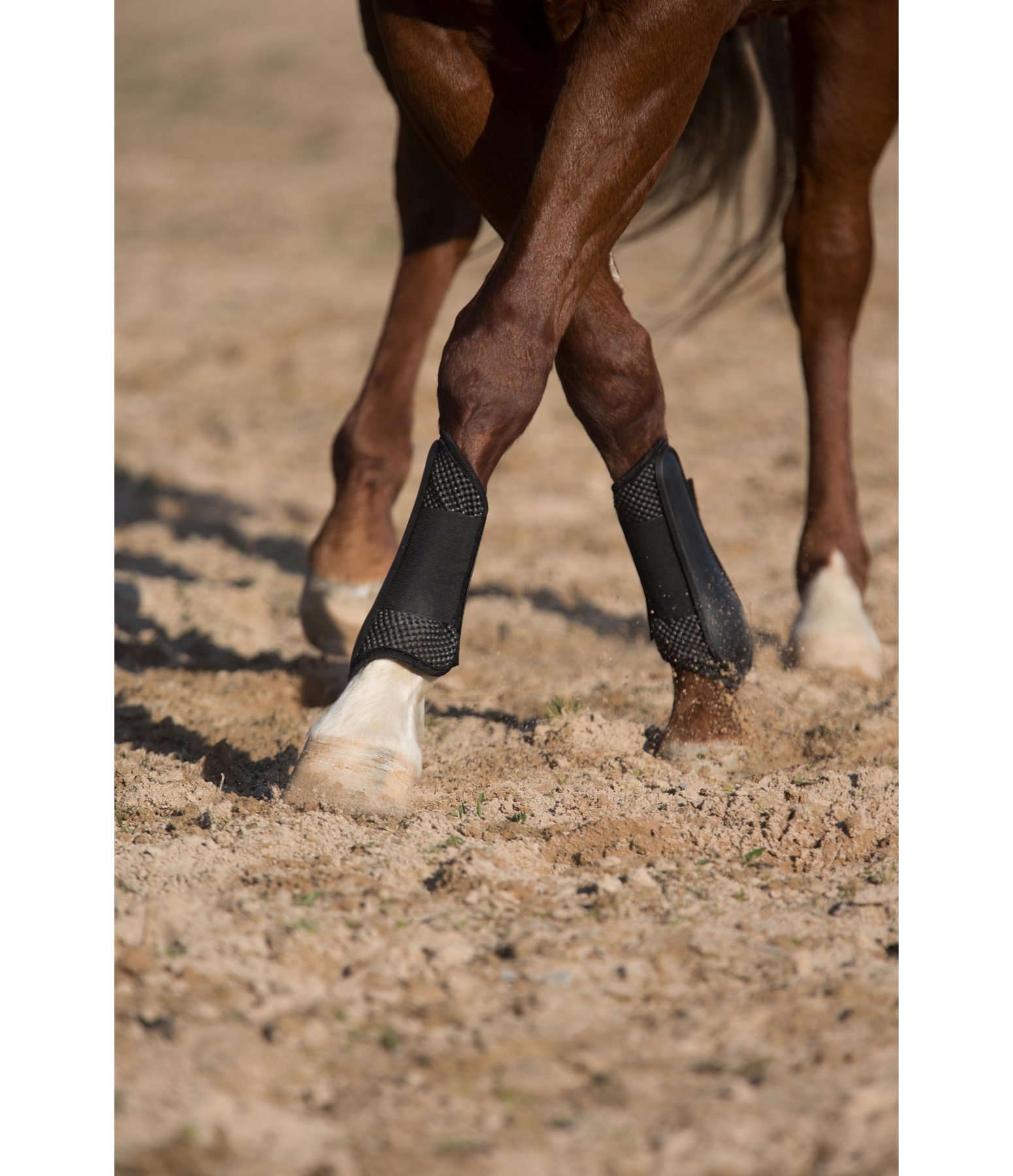 leather splint boots for horses