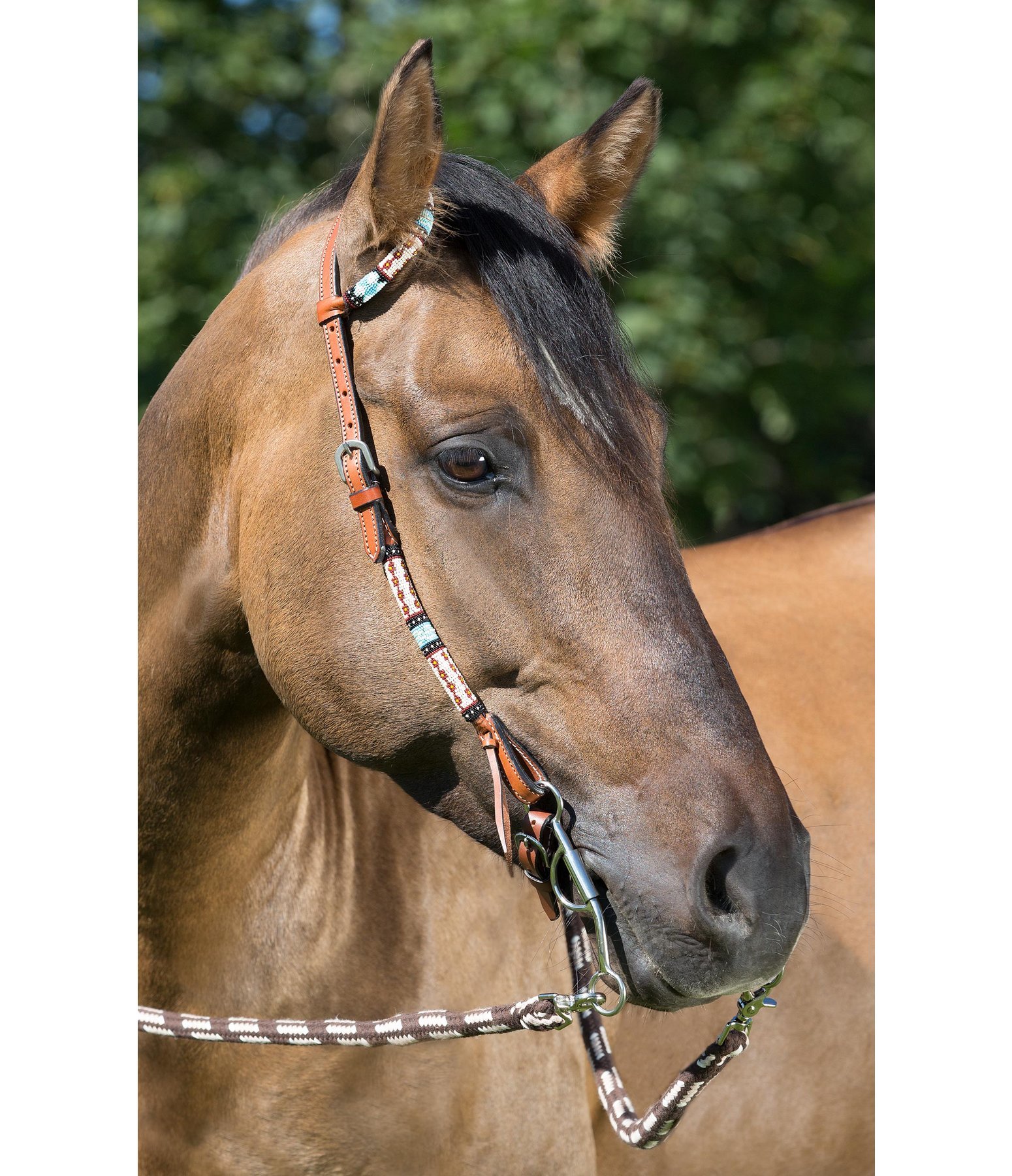 OneEar Headstall Beads OneEar & TwoEar Headstalls Kramer Equestrian