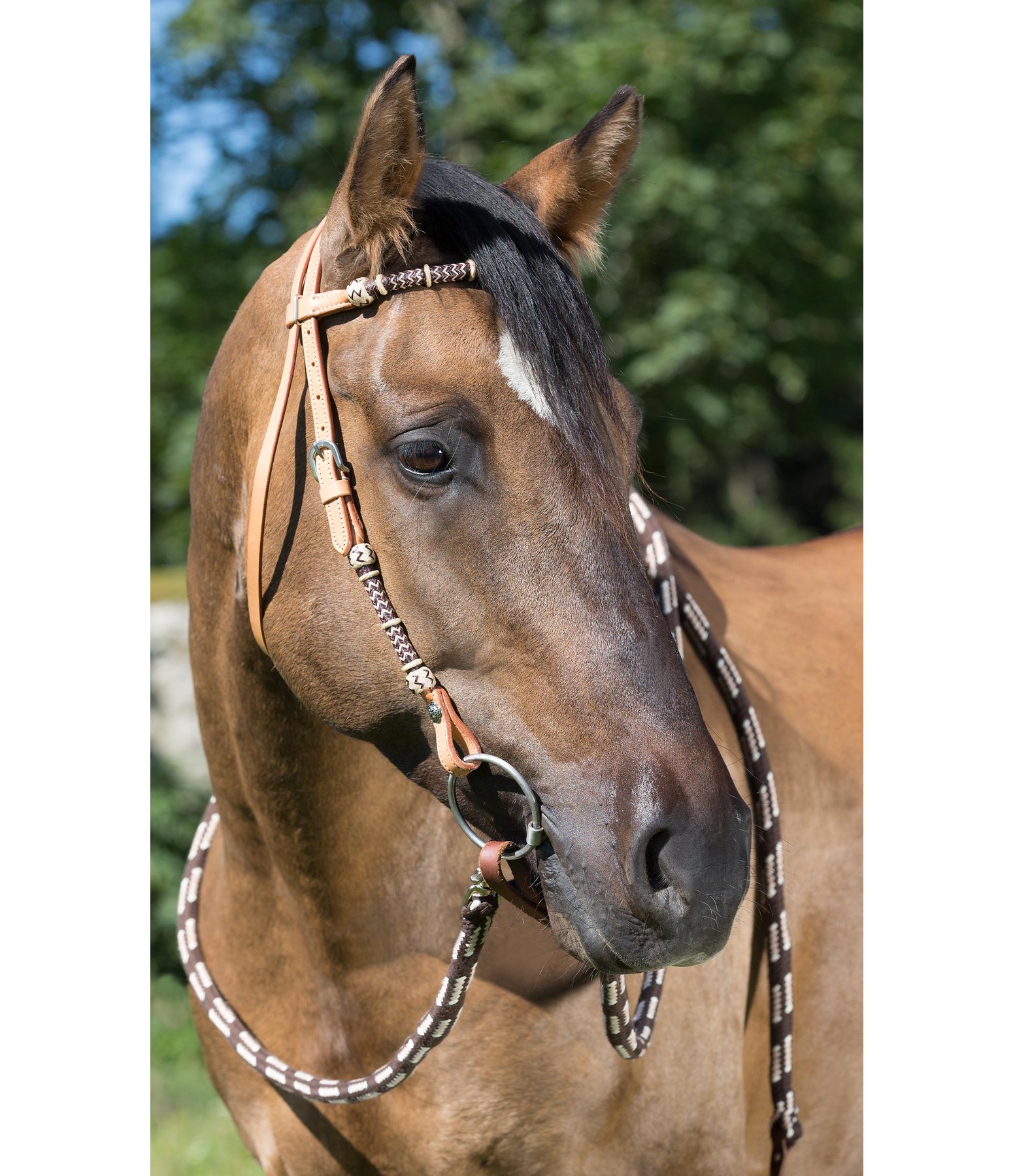 Western Headstall Pasadena Headstalls with Straight Browbands Kramer Equestrian
