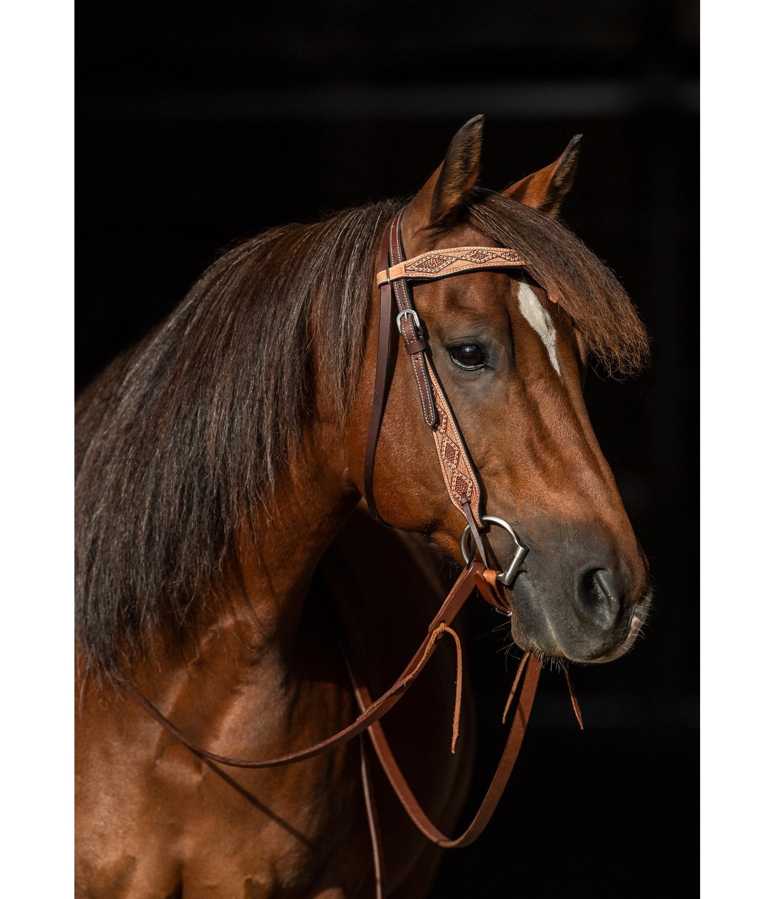 Western Headstall Studded Headstalls with Knotted Browbands Kramer