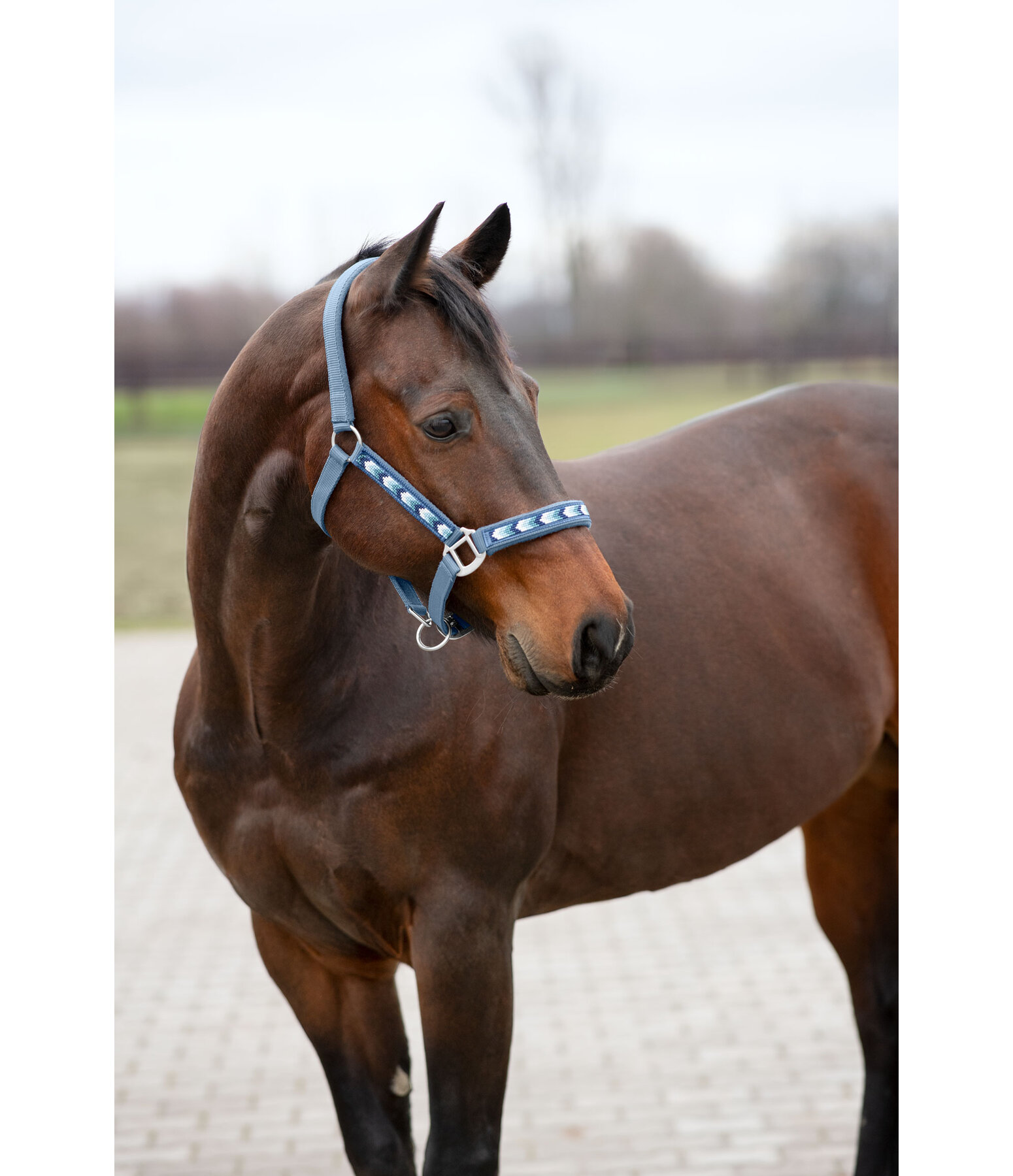 Halter Stone