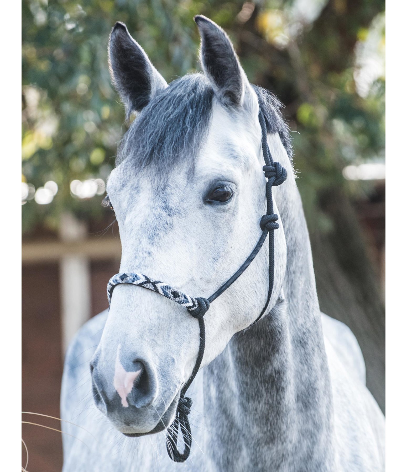 Rope Halter Beaded