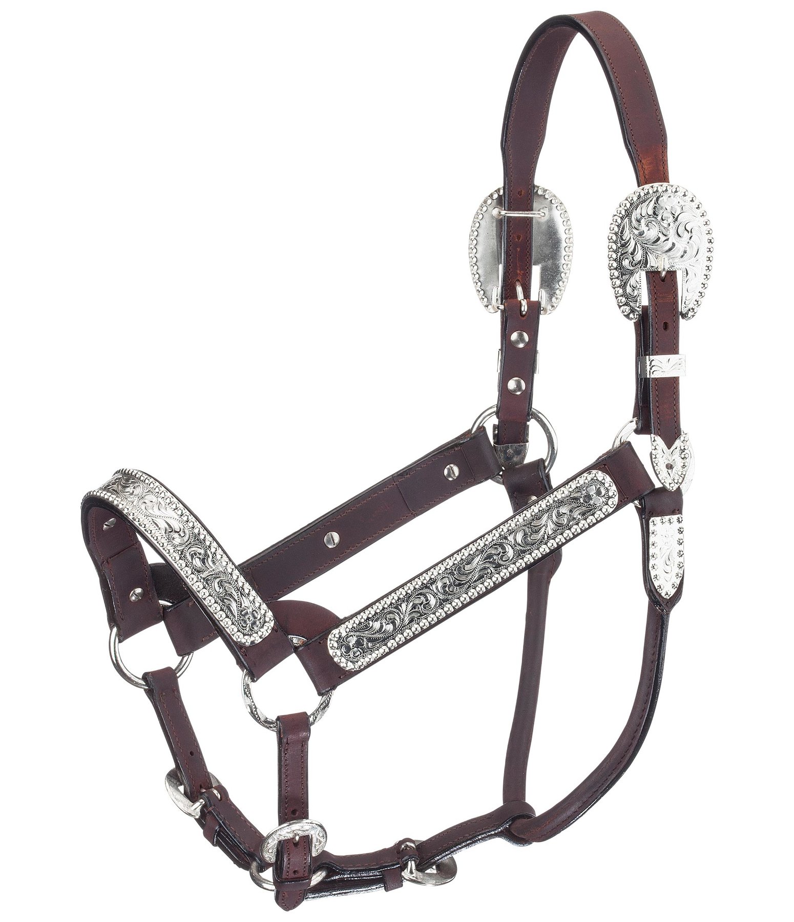 Show Halter