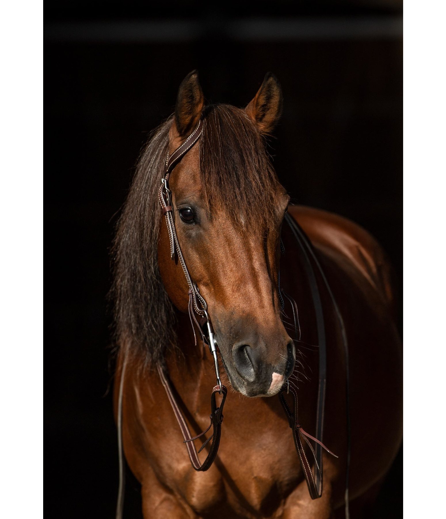 One Ear Headstall Basic